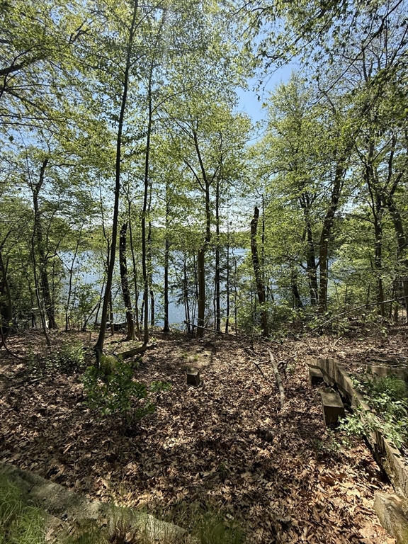 108 Dudley Road Wayland, MA 01778 - Photo 11 of 18 a big yard with lots of green space and trees
