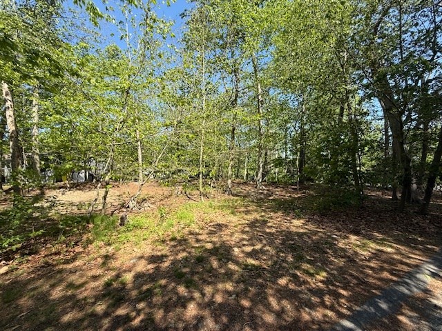 108 Dudley Road Wayland, MA 01778 - Photo 13 of 18 a view of a forest with trees