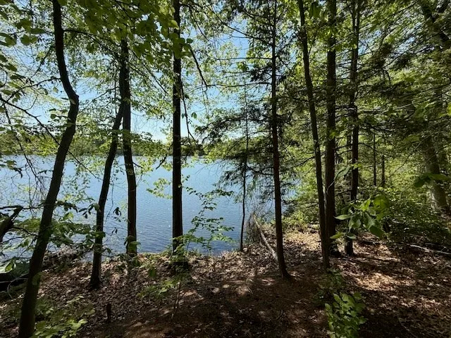 a view of outdoor space with trees