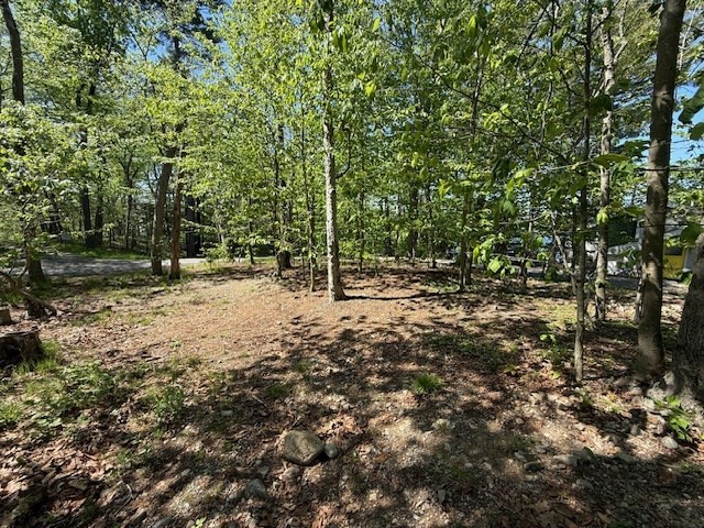 108 Dudley Road Wayland, MA 01778 - Photo 15 of 18 a view of outdoor space with trees