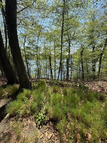 108 Dudley Road Wayland, MA 01778 - Photo 16 of 18 a view of yard