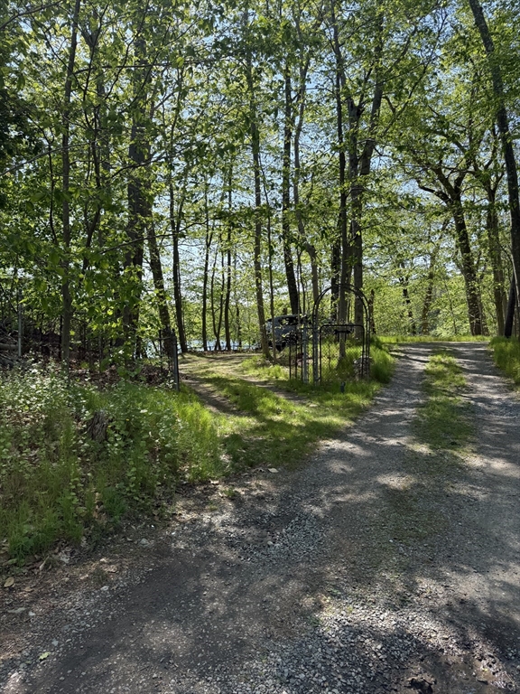 108 Dudley Road Wayland, MA 01778 - Photo 3 of 18 a view of a park that has large trees