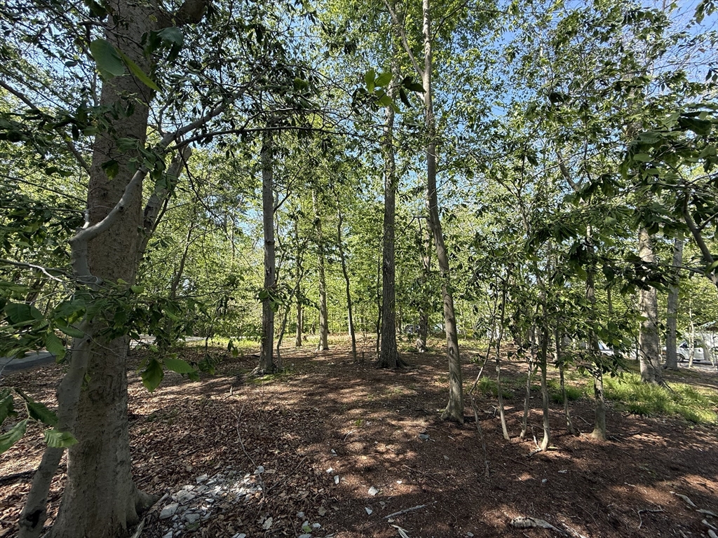 108 Dudley Road Wayland, MA 01778 - Photo 8 of 18 a view of outdoor space and yard