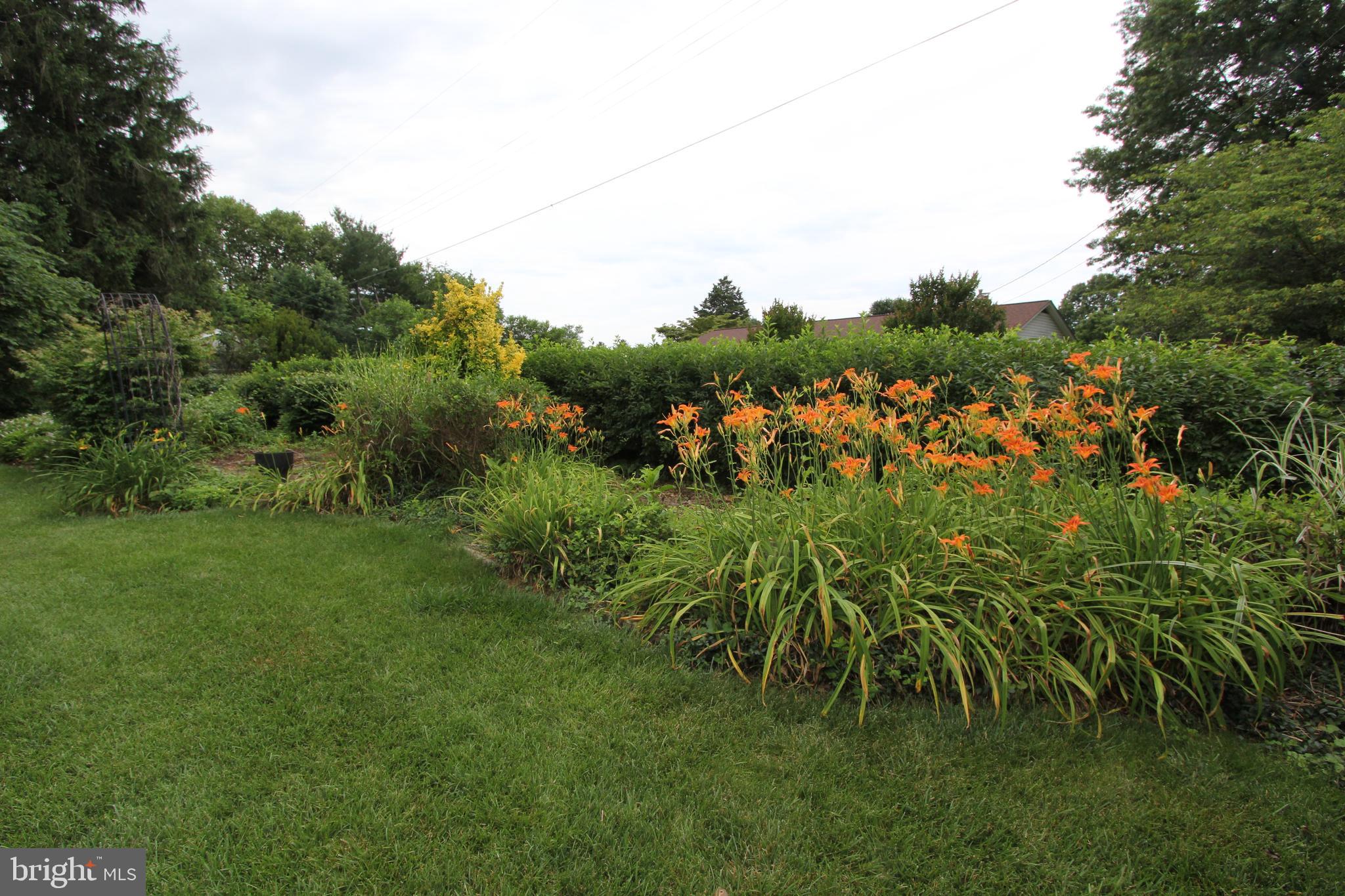 7930 Edgewood Farm Road Frederick, MD 21702 - Photo 42 of 53 Backyard, view 2