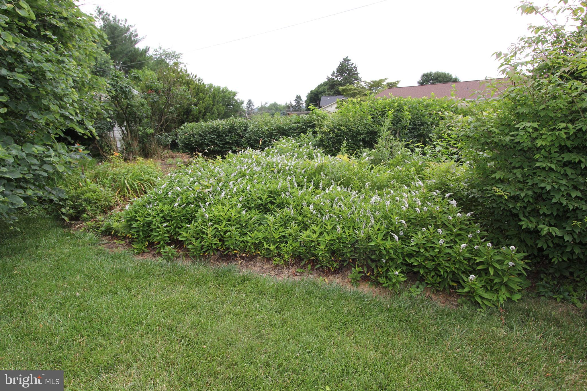 7930 Edgewood Farm Road Frederick, MD 21702 - Photo 43 of 53 Backyard, view 3