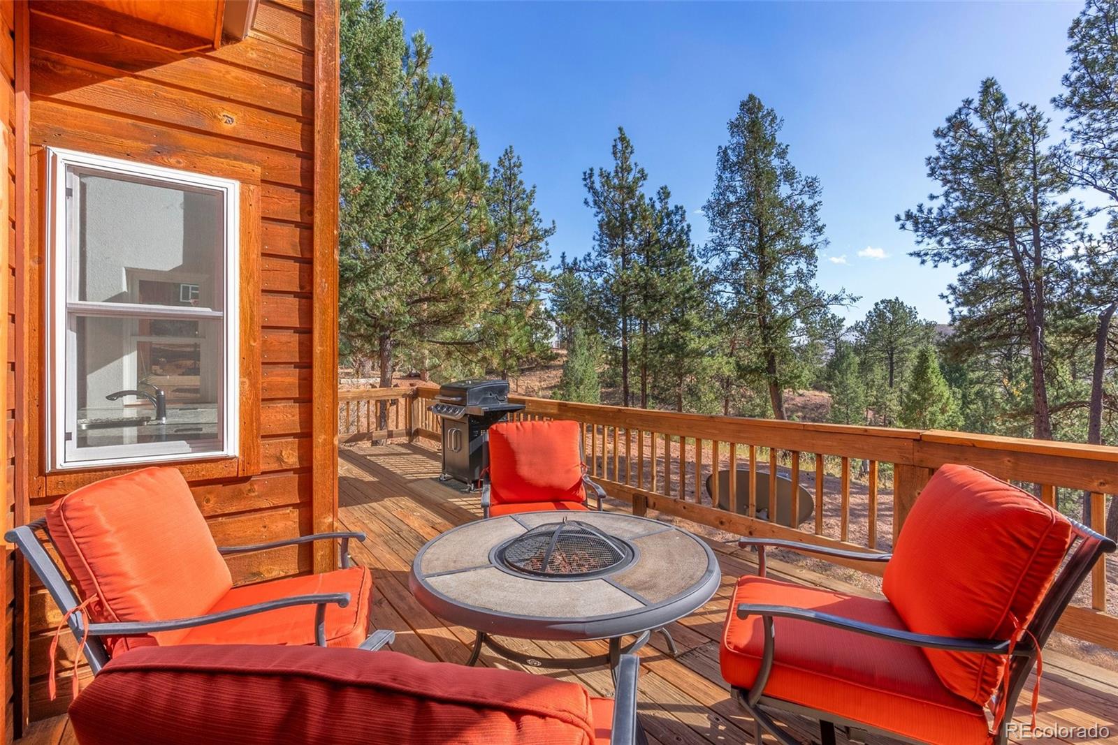 15364 Swiss Road Pine, CO 80470 - Photo 26 of 35 Gallery Image 26