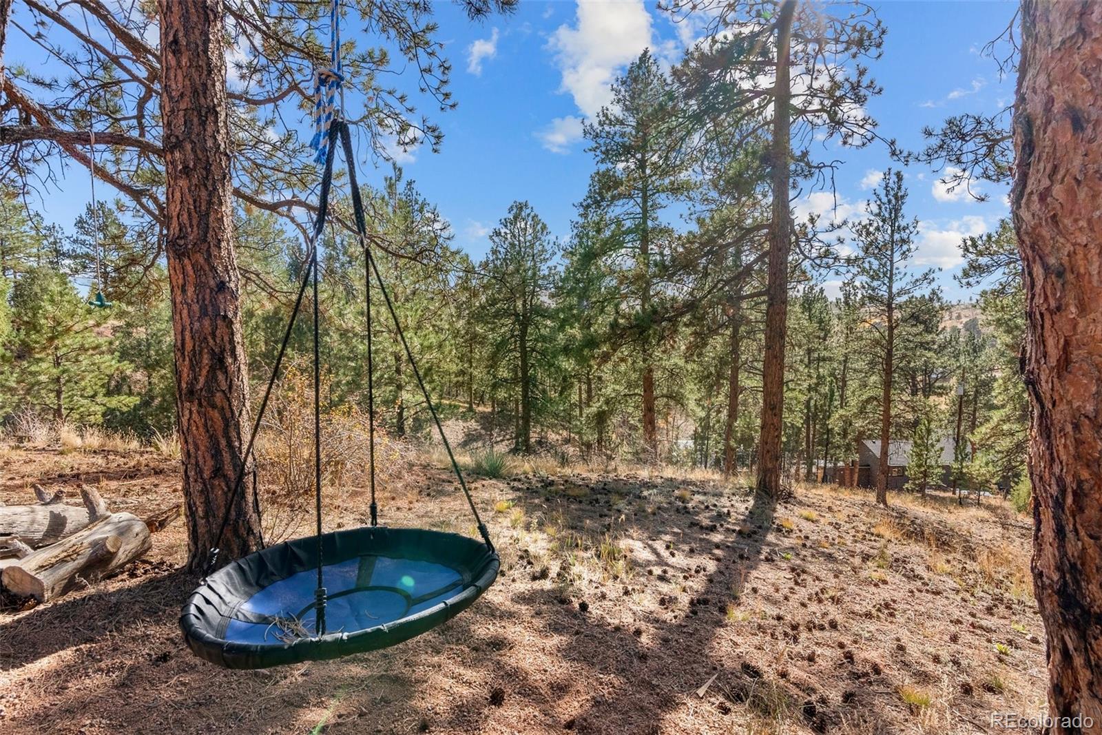 15364 Swiss Road Pine, CO 80470 - Photo 31 of 35 Gallery Image 31