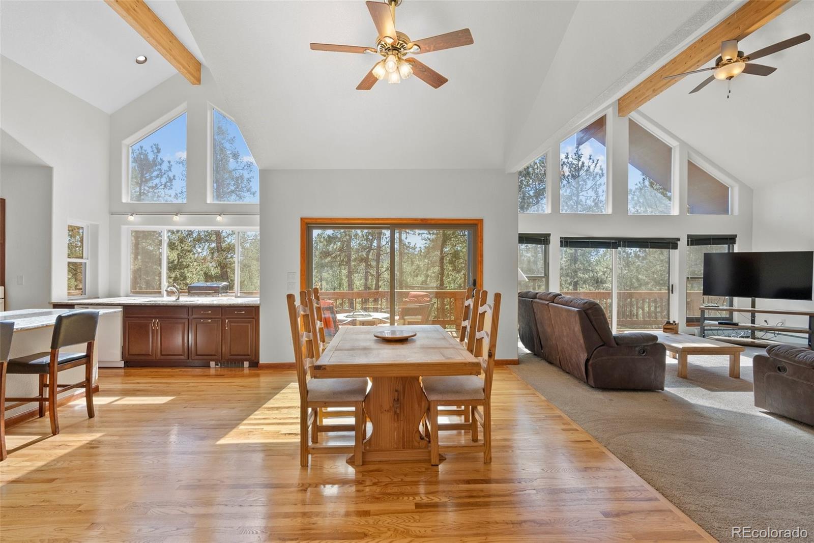 15364 Swiss Road Pine, CO 80470 - Photo 9 of 35 Gallery Image 9