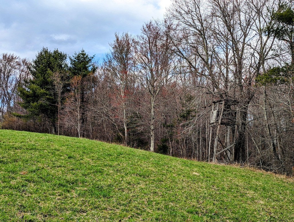 Tbd Timber Ridge Road Northwest, Unit 1 Willis, VA 24380 - Photo 28 of 38 Gallery Image 28