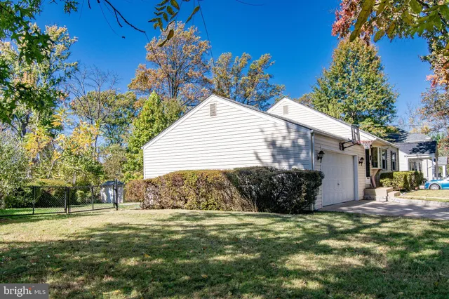 a view of a backyard with plants and large trees