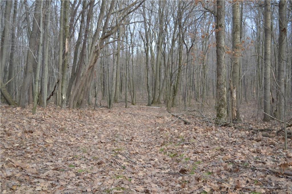 0 Kunkle Road Kittanning, PA 16201 - Photo 1 of 3