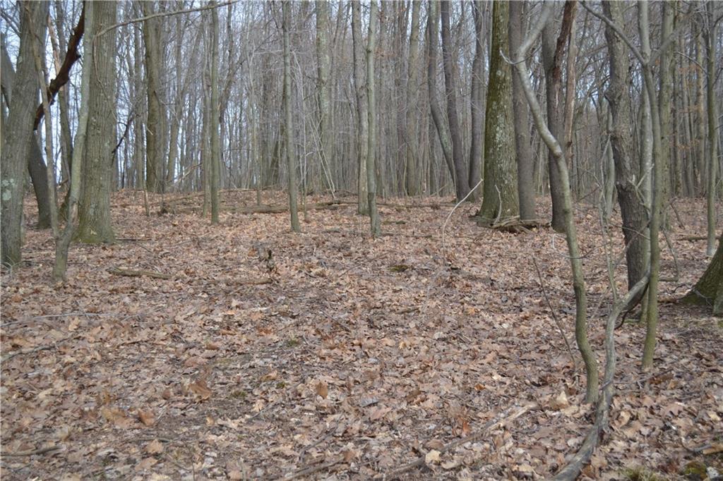 0 Kunkle Road Kittanning, PA 16201 - Photo 3 of 3