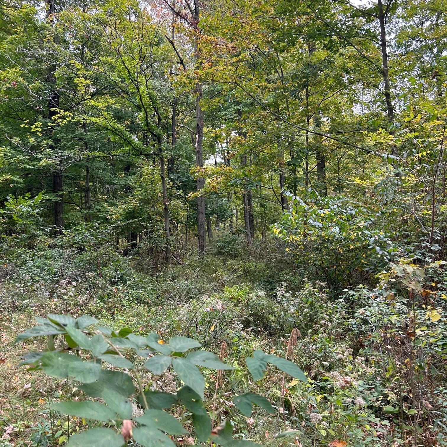 0 Ewart Road Mount Vernon, OH 43050 - Photo 3 of 15 photo2