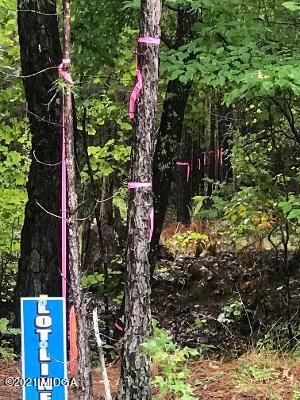 Lot 1 Watson Road Forsyth, GA 31029 - Photo 2 of 4 a picture of flowers