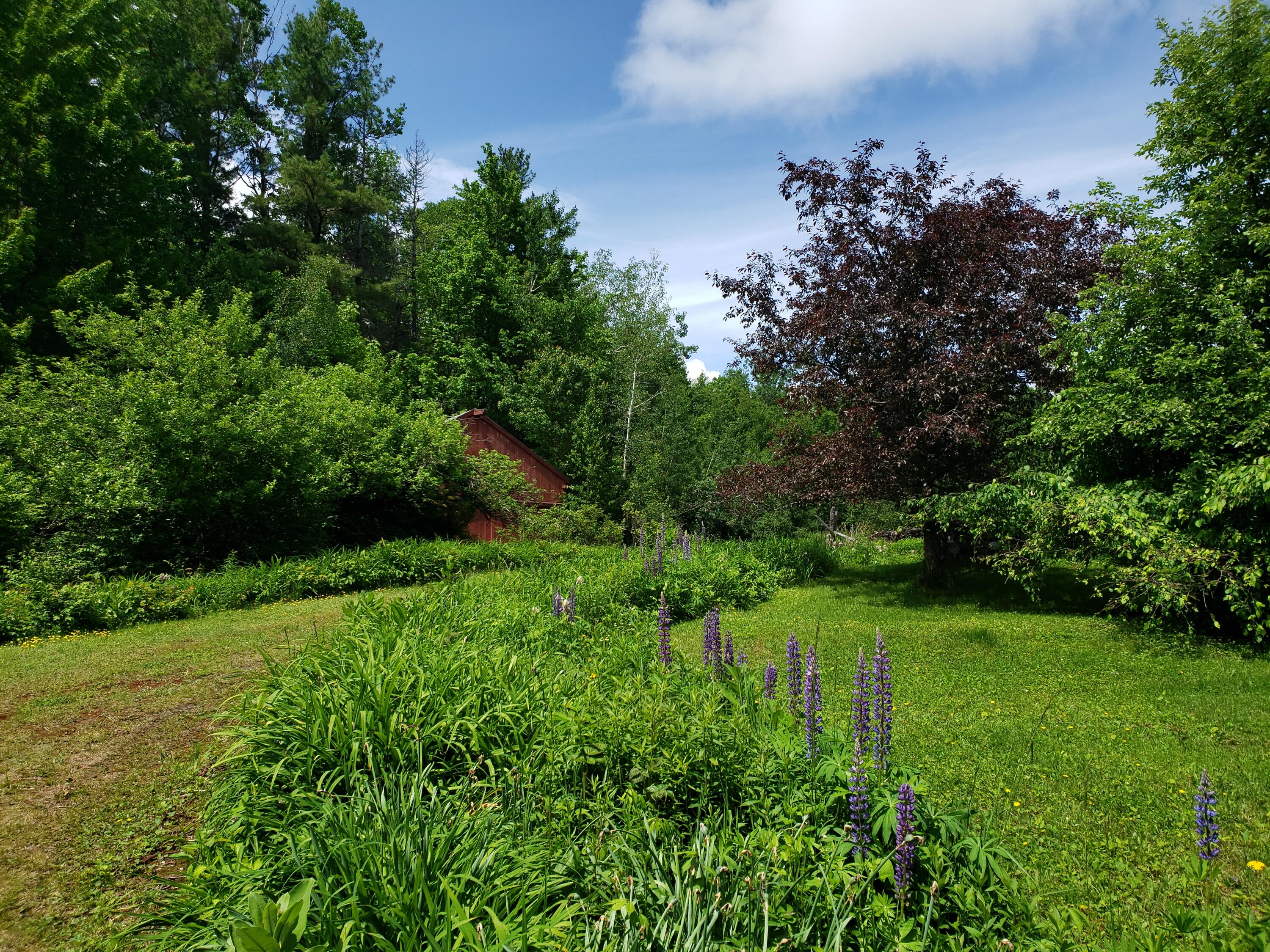 63 Bog Pond Road Phillips, ME 04966 - Photo 87 of 96 20230614_135103