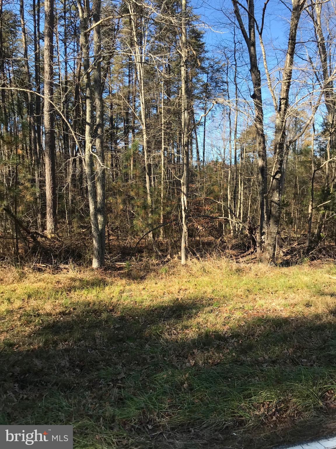 4520 Partlow Road Partlow, VA 22534 - Photo 1 of 4 land