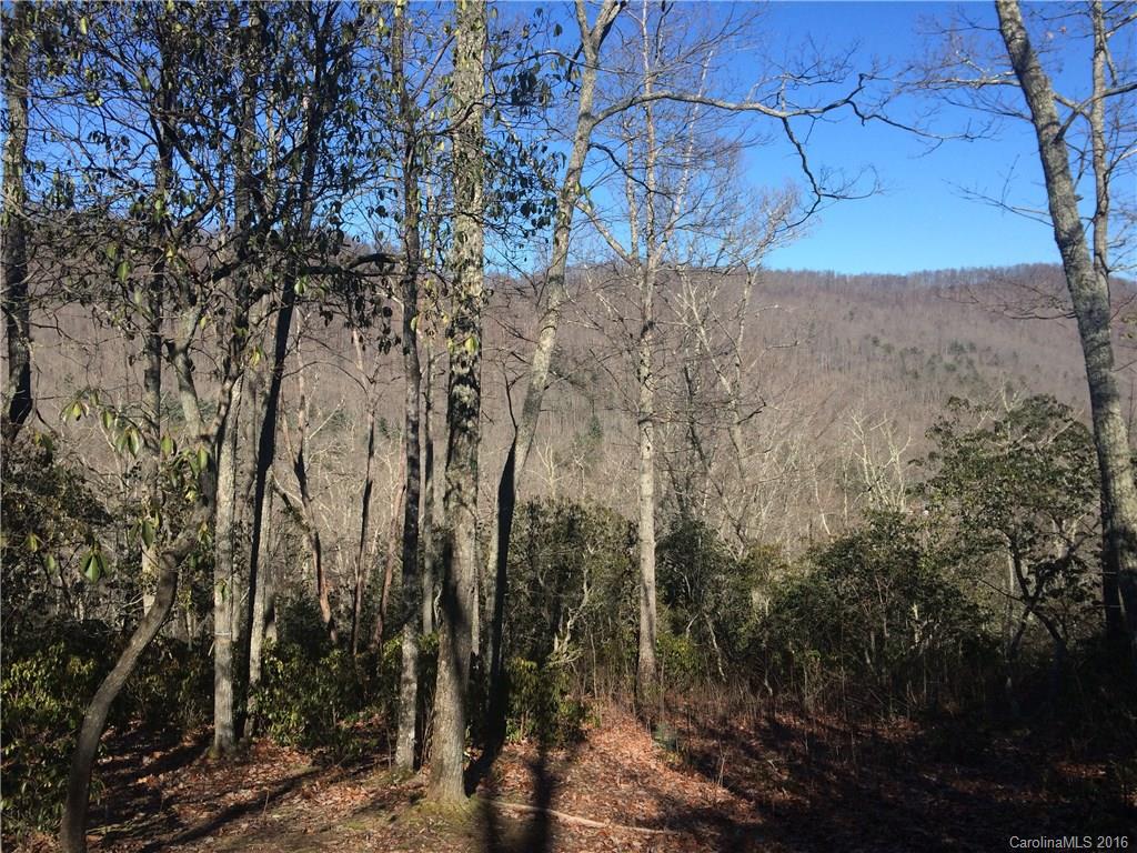 75 Smokey Ridge Trail Arden, NC 28704 - Photo 1 of 4 Gallery Image 1