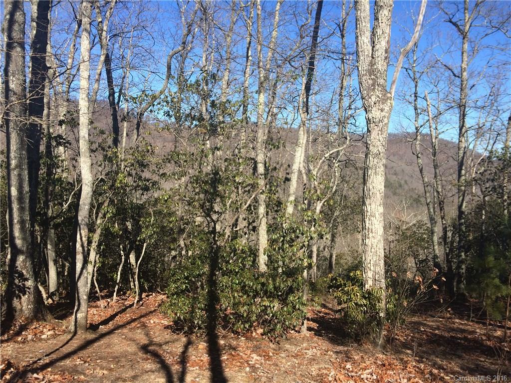 75 Smokey Ridge Trail Arden, NC 28704 - Photo 2 of 4 Gallery Image 2