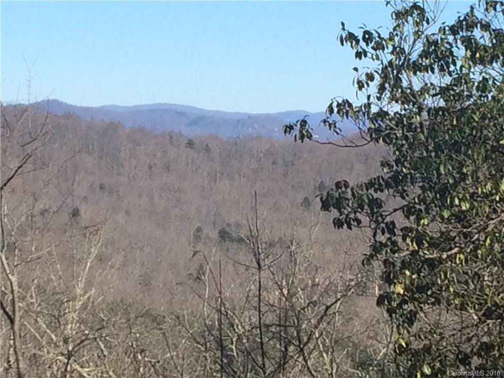 75 Smokey Ridge Trail Arden, NC 28704 - Photo 3 of 4 Gallery Image 3