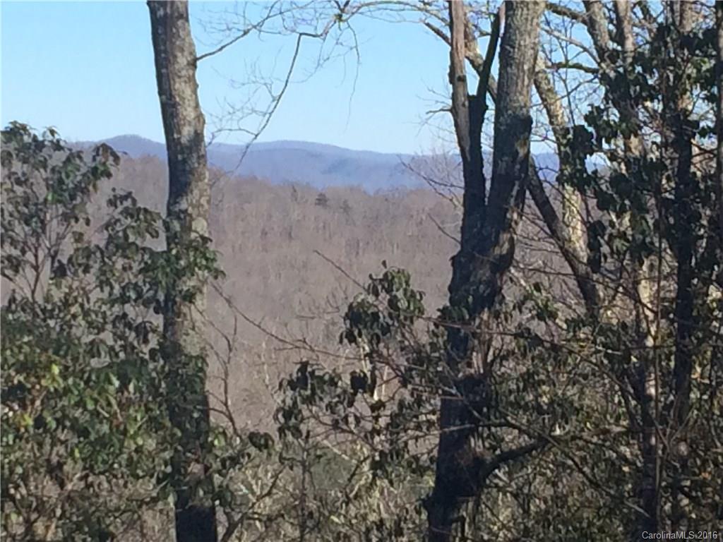 75 Smokey Ridge Trail Arden, NC 28704 - Photo 4 of 4 Gallery Image 4