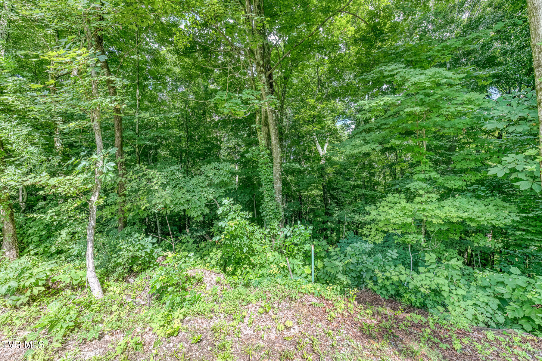 210 Telford Road Telford, TN 37690 - Photo 95 of 105 210 Telford Rd-68
