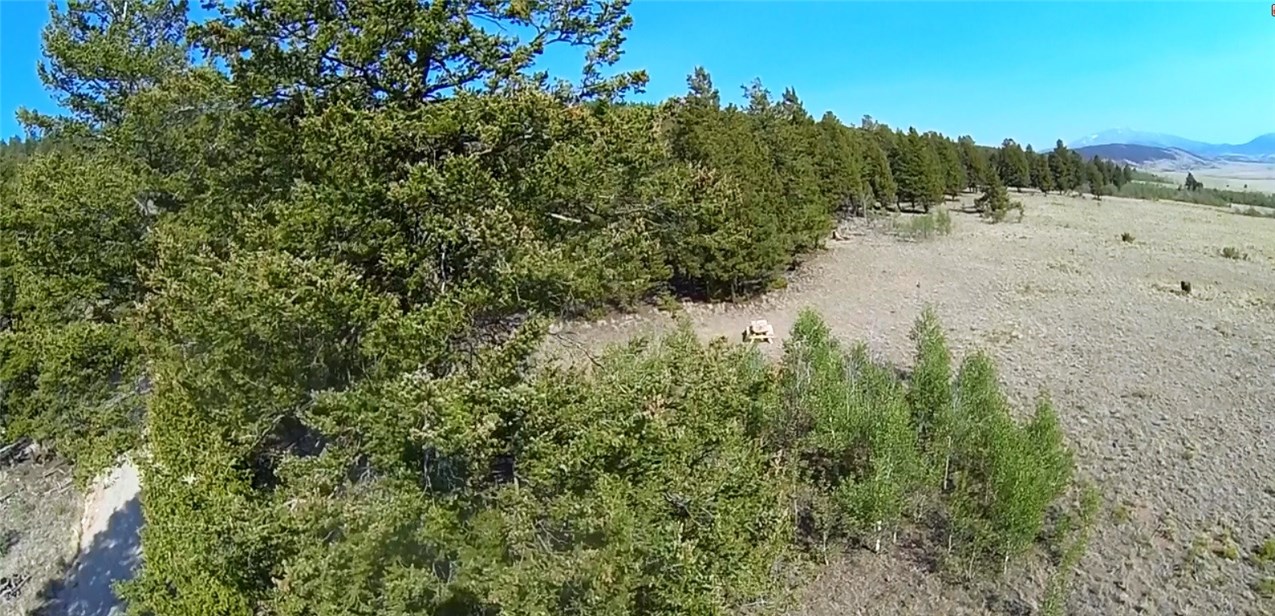 1676 Redhill Road Fairplay, CO 80440 - Photo 5 of 15 Gallery Image 5