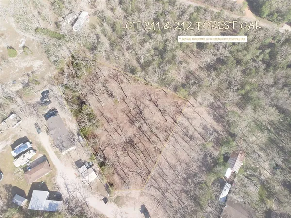 a view of a dry yard