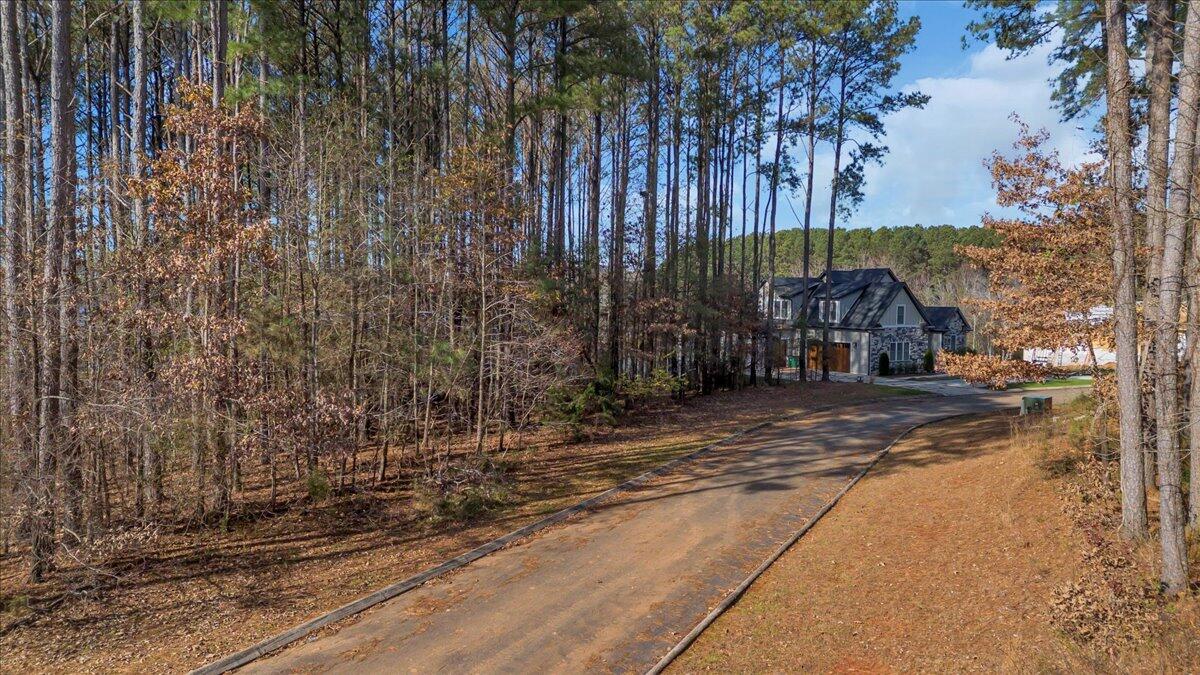 0 Castaway Lane Jasper, TN 37347 - Photo 13 of 22 01-DJI_0521