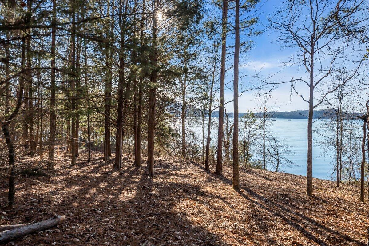 0 Castaway Lane Jasper, TN 37347 - Photo 5 of 22 BOX07618 2