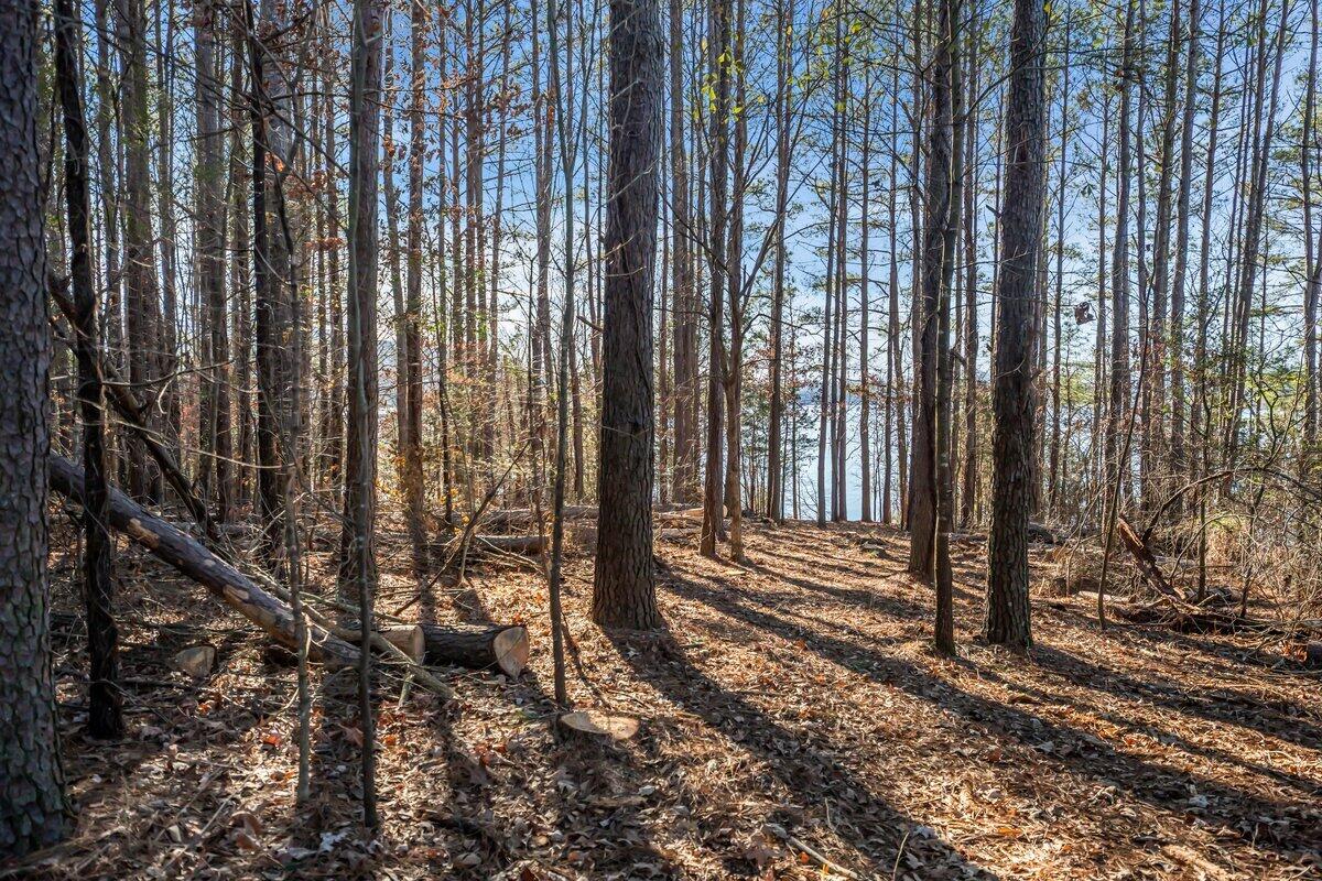 0 Castaway Lane Jasper, TN 37347 - Photo 6 of 22 BOX07613