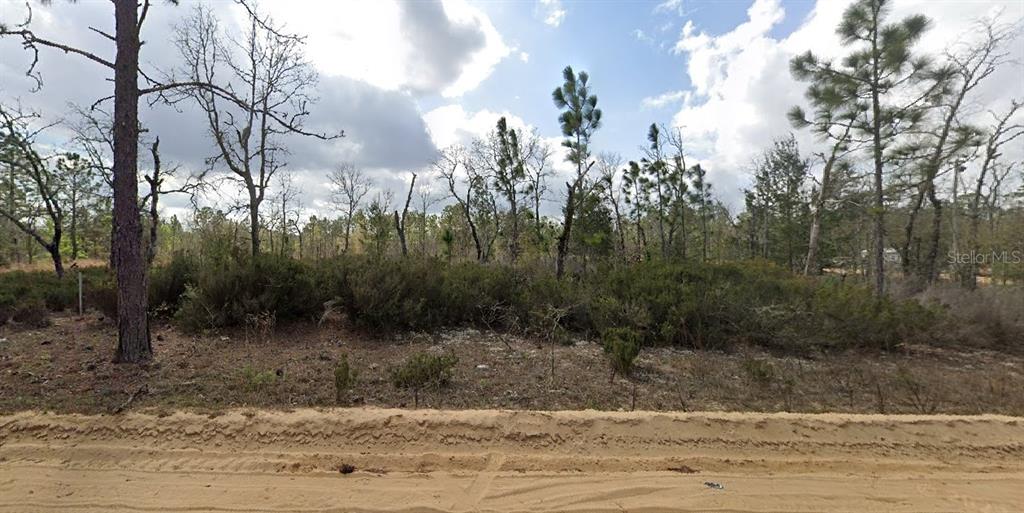 1137 Twin Lakes Boulevard Interlachen, FL 32148 - Photo 3 of 9