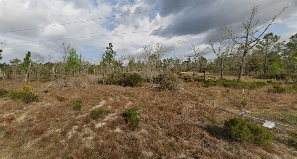 1137 Twin Lakes Boulevard Interlachen, FL 32148 - Photo 5 of 9