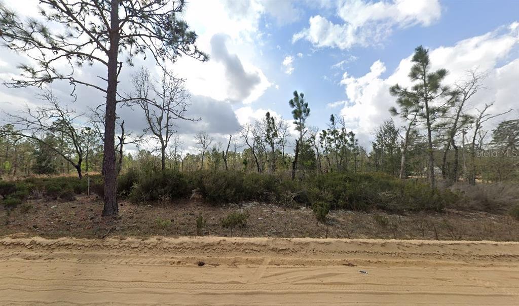 1137 Twin Lakes Boulevard Interlachen, FL 32148 - Photo 6 of 9