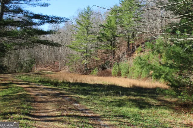 $370,000 | Tract B Tract B Highland Cove, Franklin, NC 28734