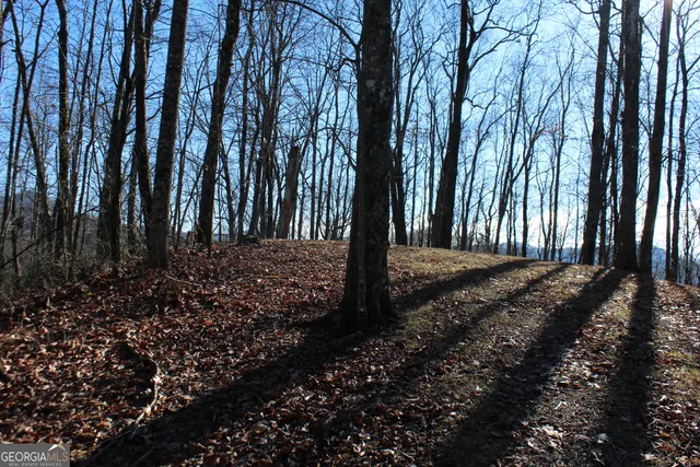 a view of a backyard of the house