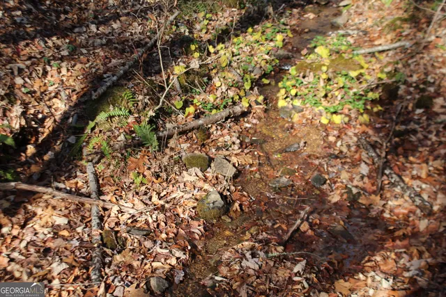 a view of a bench in a backyard