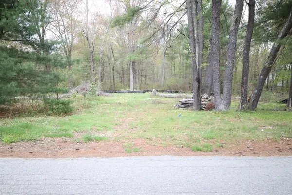 a view of a backyard with large trees