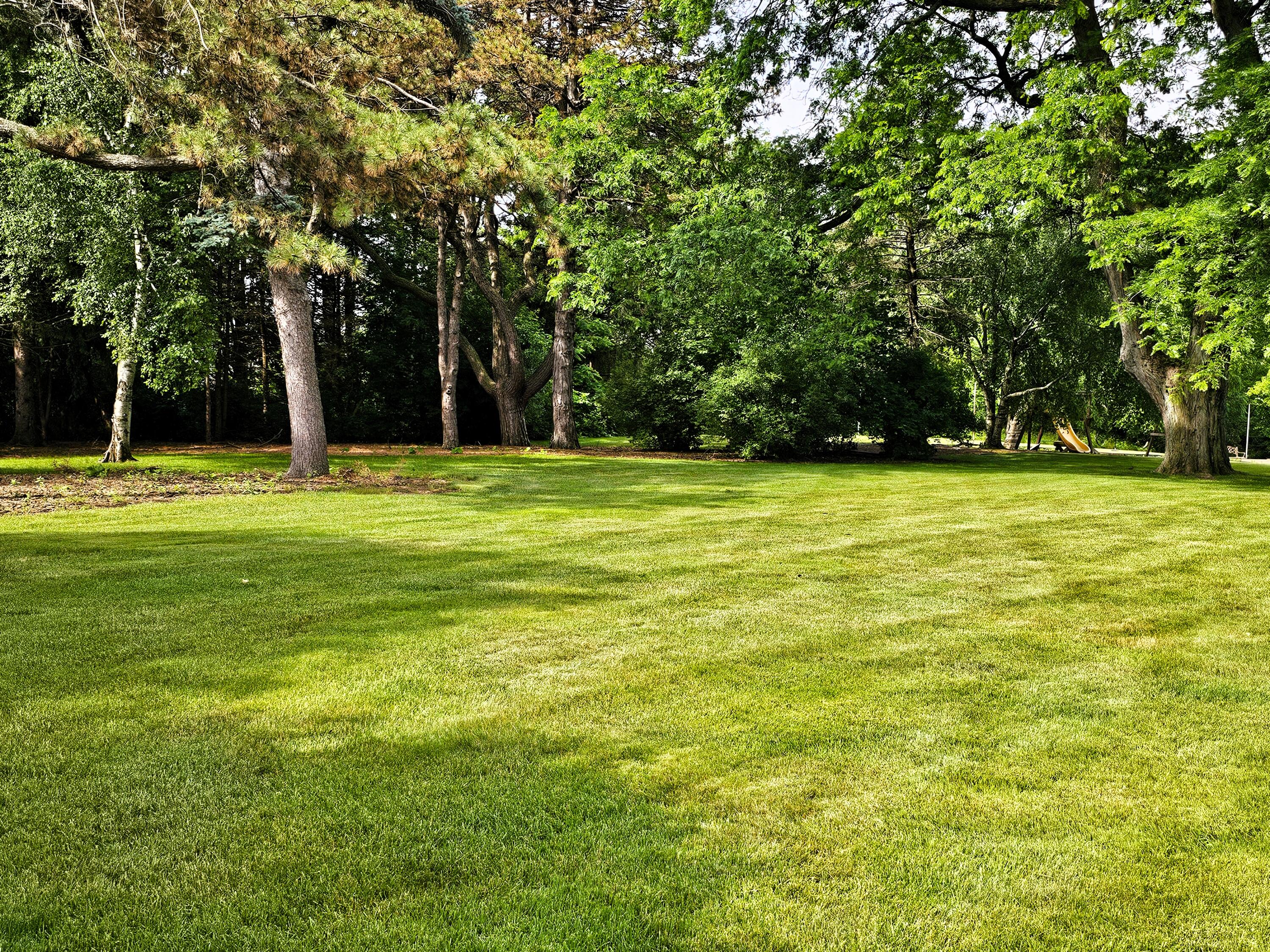 19605 Davidson Road Brookfield, WI 53045 - Photo 19 of 96 Yard View Davidson 3