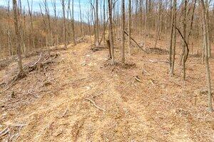 0 Adventure Mountain Road Montvale, VA 24122 - Photo 6 of 8 lg28v6nrna