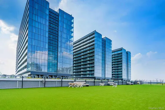 a view of a back yard of the house