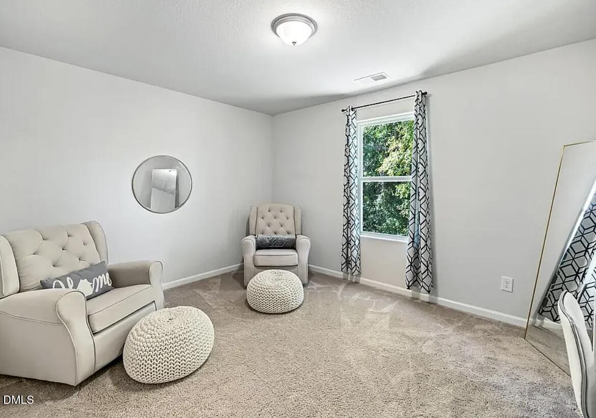 336 Rustling Way Zebulon, NC 27597 - Photo 24 of 28