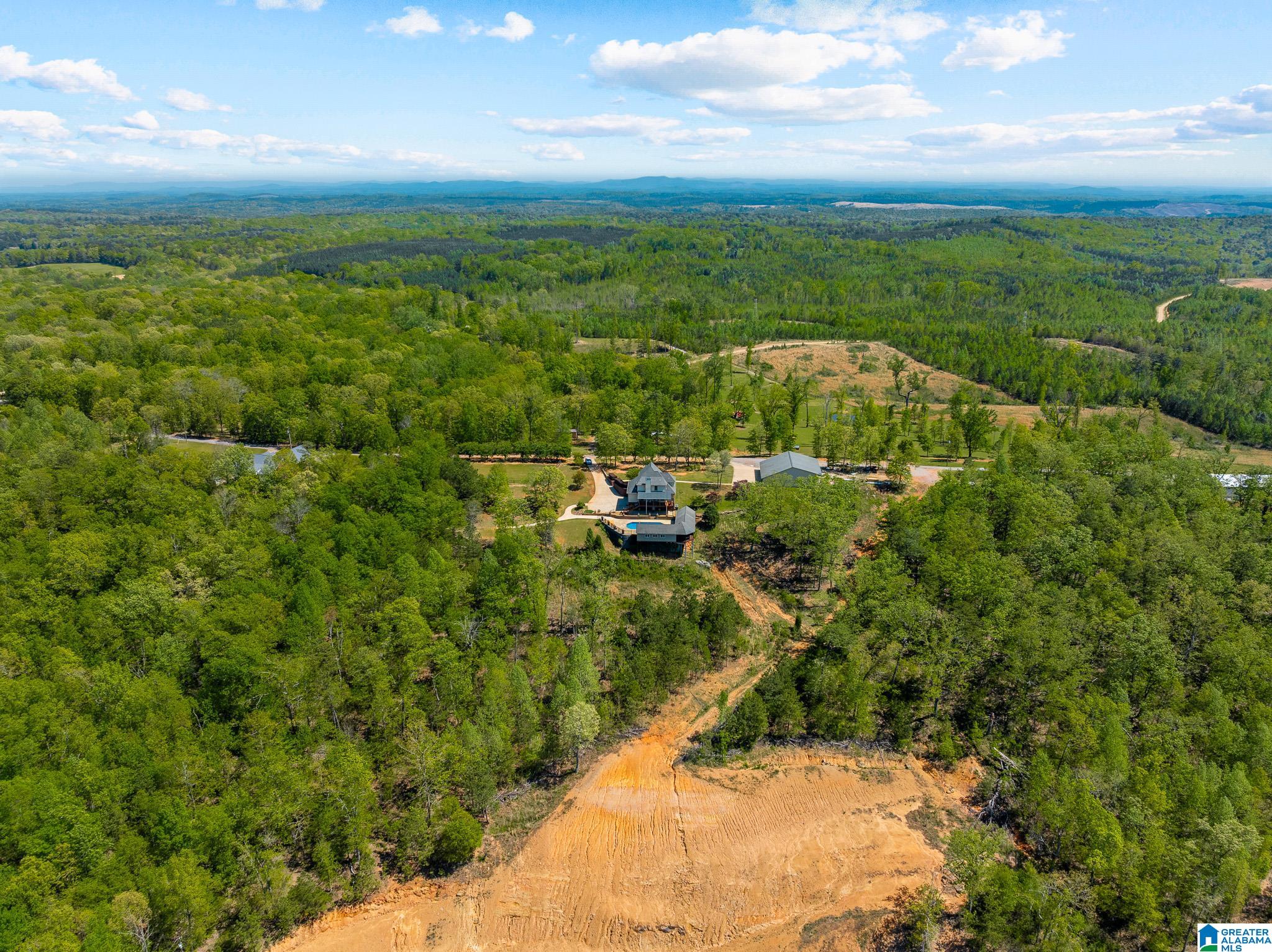 206 Shaw Road Pell City, AL 35128 - Photo 90 of 93