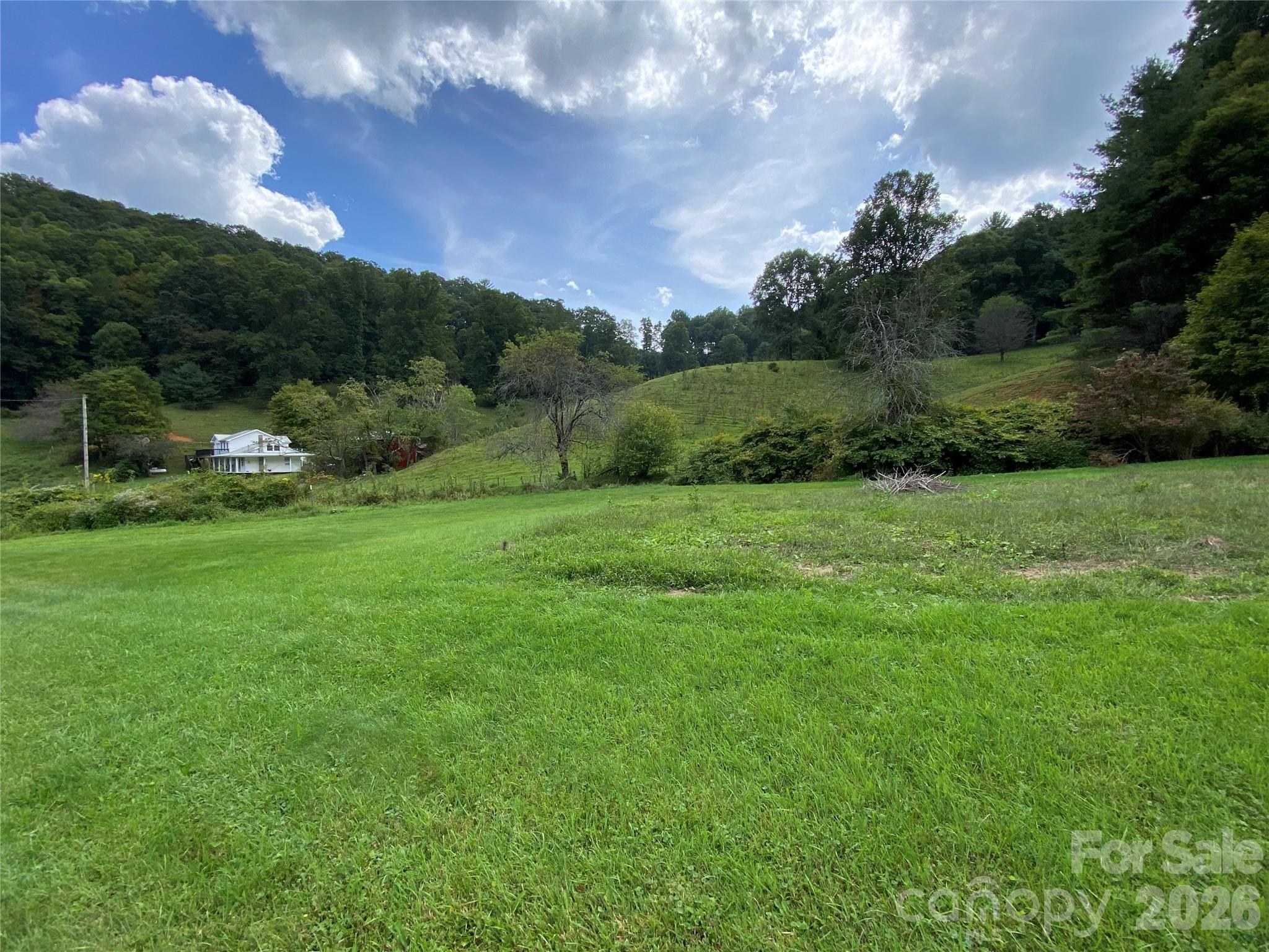 111 Hensley Branch Road Burnsville, NC 28714 - Photo 15 of 31
