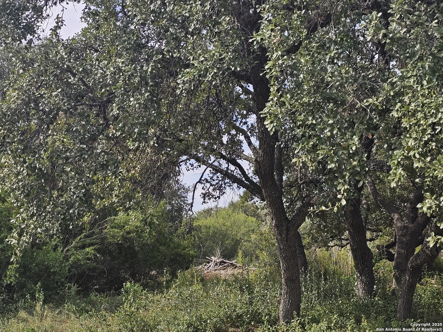 5138 Wurzbach Road San Antonio, TX 78238 - Photo 3 of 4