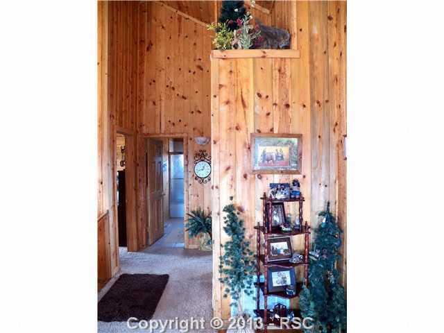 1443 Twin Rocks Road Florissant, CO 80816 - Photo 13 of 25