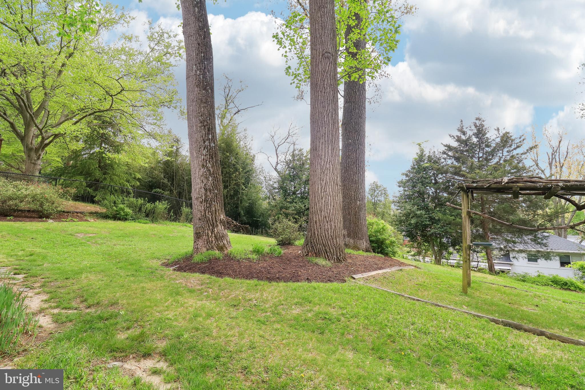 405 Southwest Drive Silver Spring, MD 20901 - Photo 62 of 65