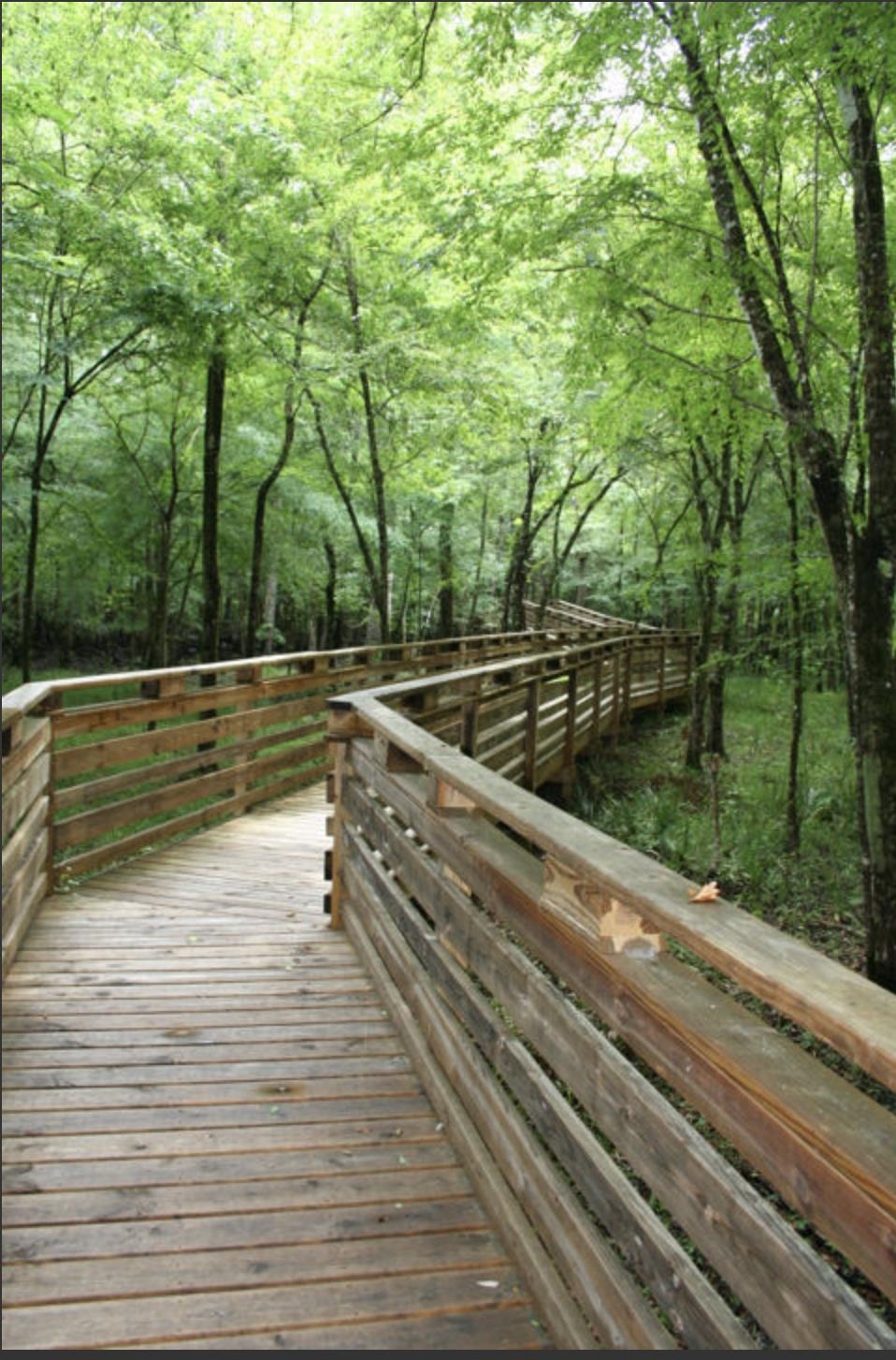 0 Ranch Club Road Tallahassee, FL 32305 - Photo 3 of 7