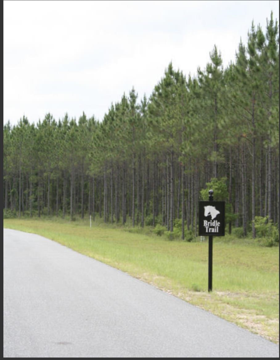 0 Ranch Club Road Tallahassee, FL 32305 - Photo 4 of 7