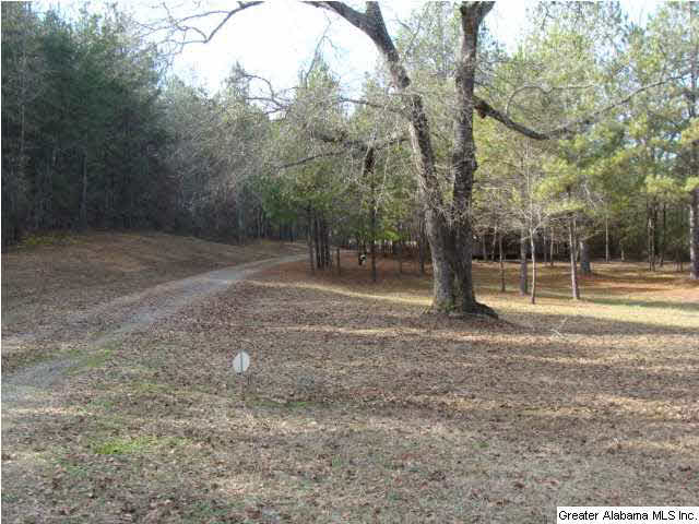 13899 Milldale Road Brookwood, AL 35444 - Photo 20 of 22
