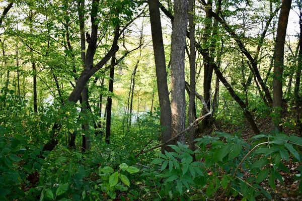 $269,900 | 1124 River Drive Northeast, Red Lake Falls, MN 56750